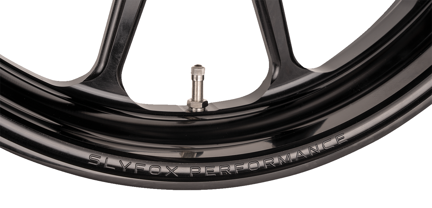 SLYFOX Wheel - Track Pro - Front - Dual Disc/with ABS - Black - 19x3 12047905RSLYAPB